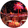Theme Parties